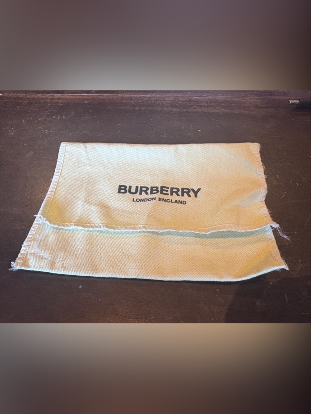Authentic Burberry London England Dust Bag Pale Mint Green Pouch